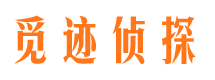 隆尧市场调查